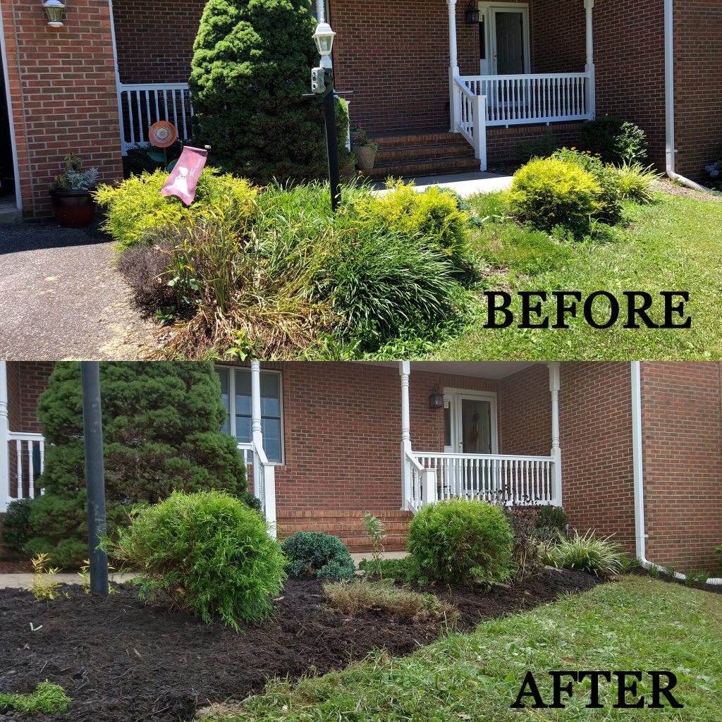 landscape renovation