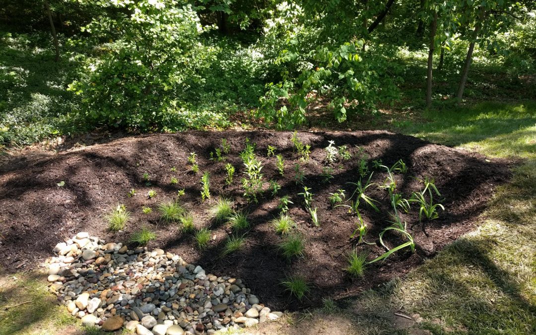 New Pathway and Rain Garden in Elkridge