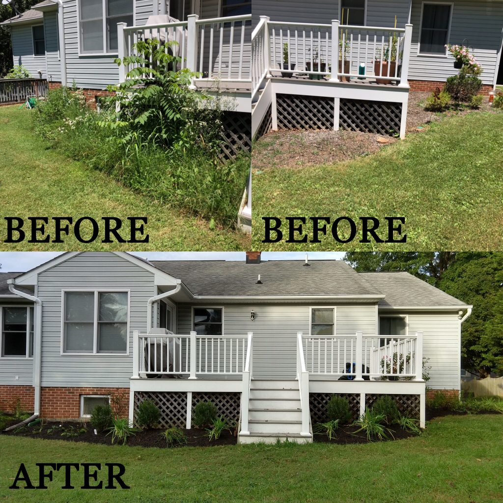 landscape renovation