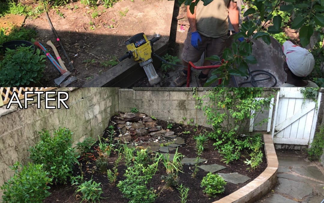 Fells Point Backyard Renovation