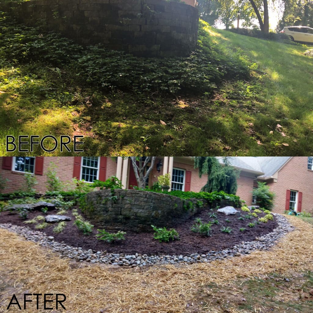 Slope plantings before and after