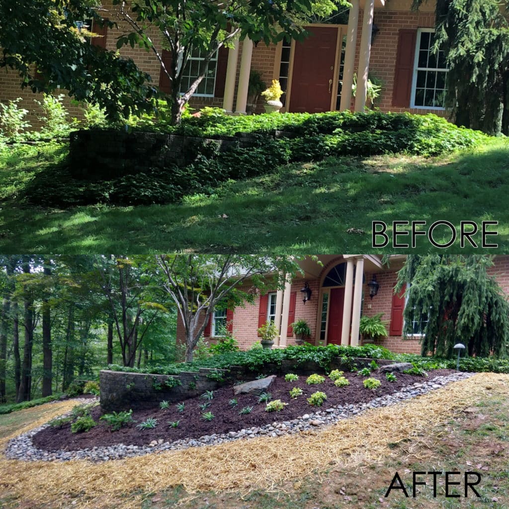 Before and after of new slope plantings