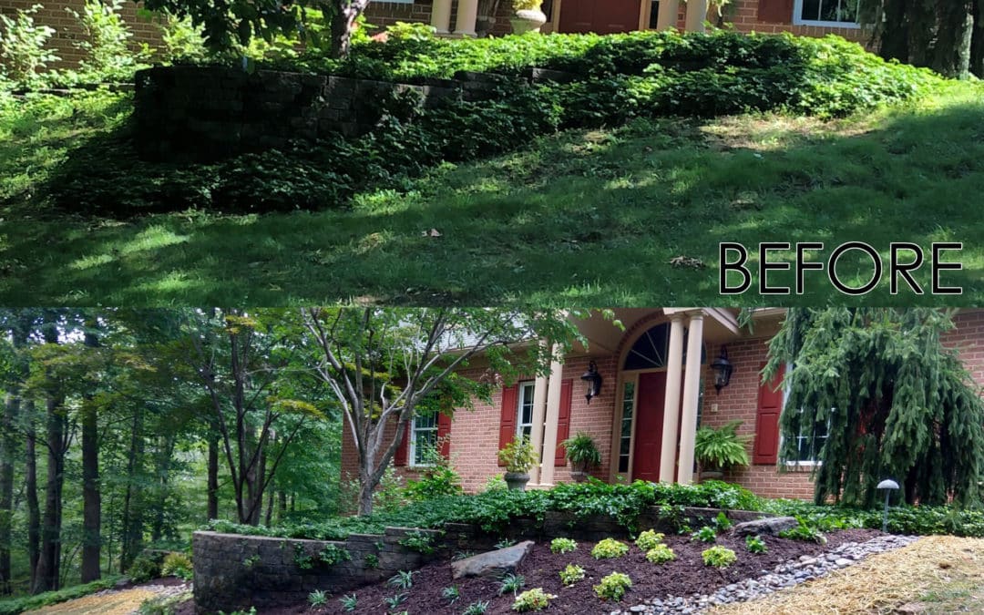 Deer and Shade Garden in West Friendship