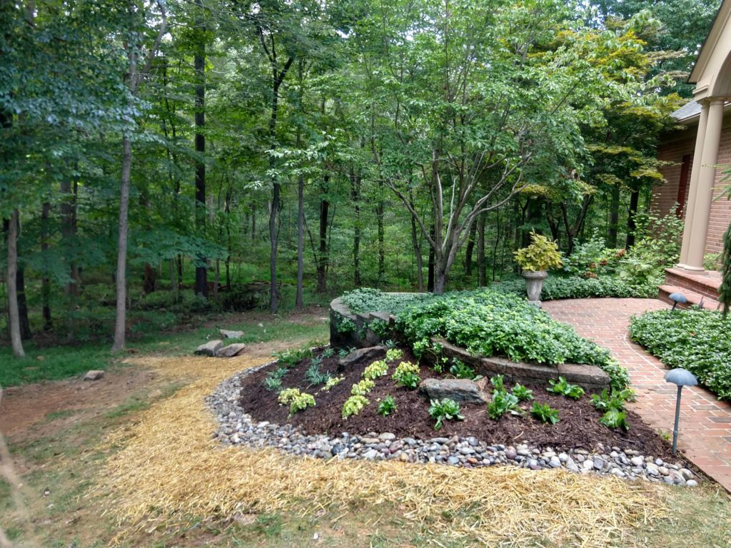 Deer and shade garden