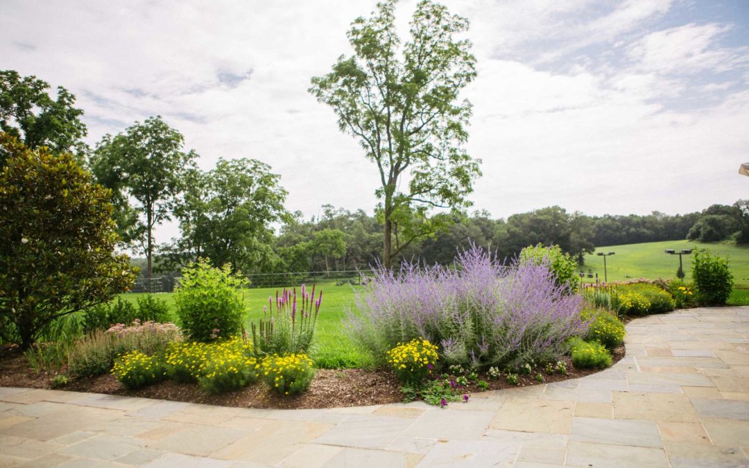 Landscape Design and Upgrades