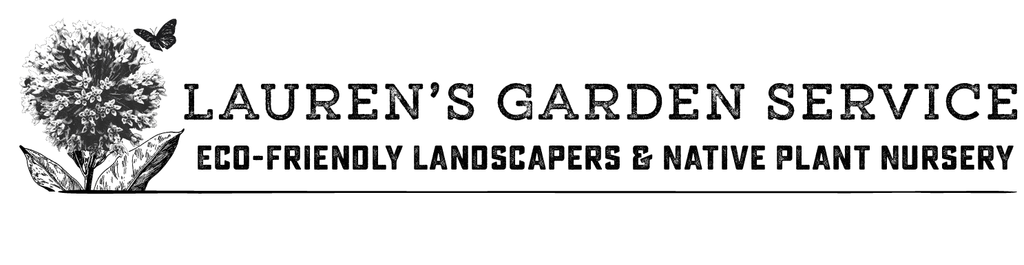 Landscape Design, Installation, Maintenance and Native Plant Nursery | Lauren's Garden Service