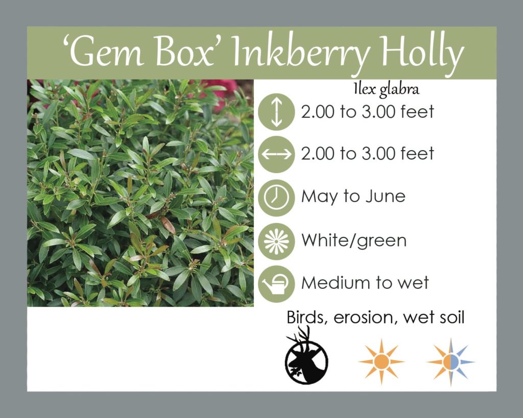 Gem box discount