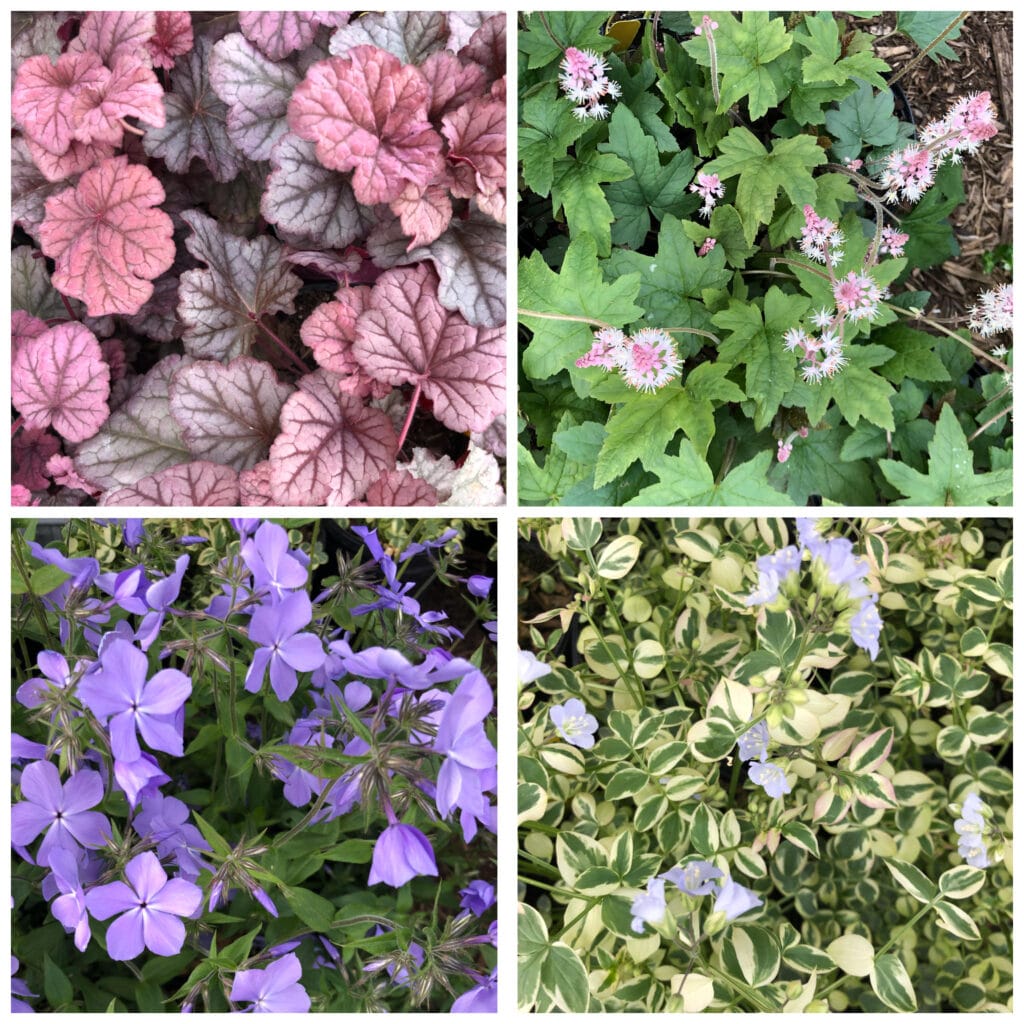 Nursery collage 1