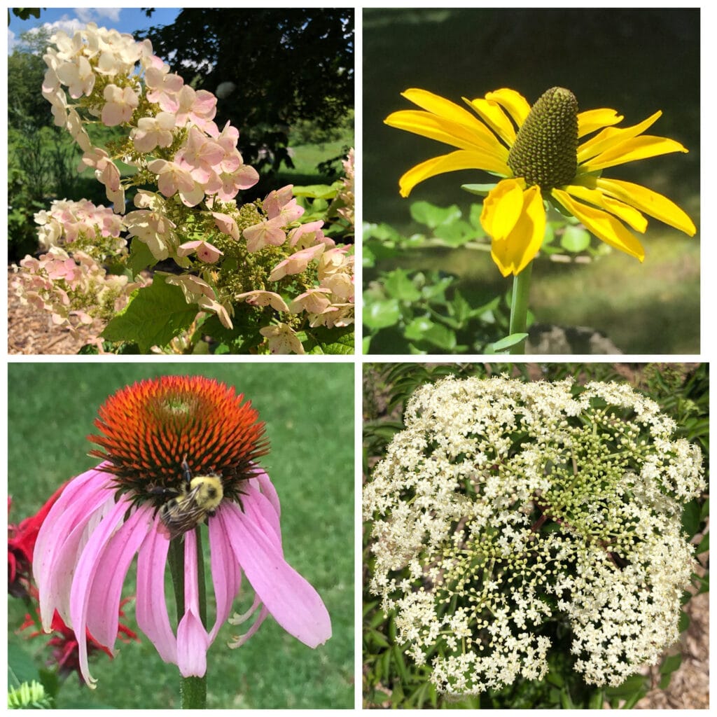 Nursery collage 6 30 21