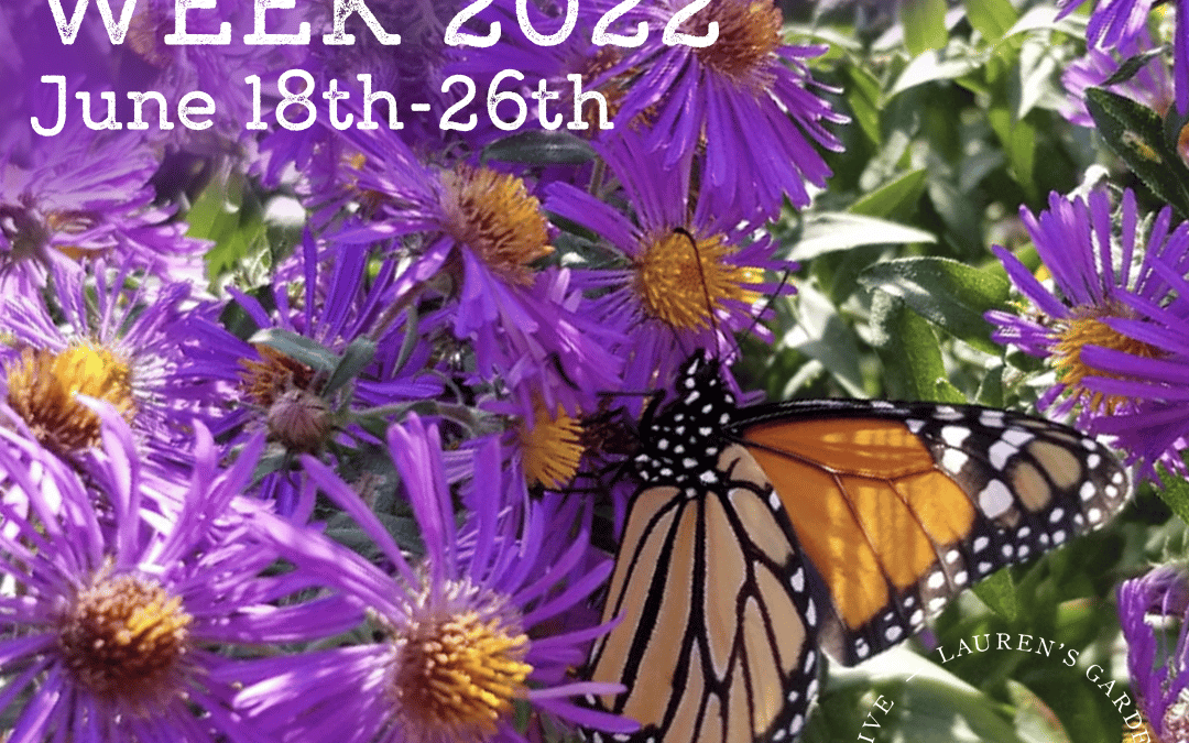 Pollinator Week 2022