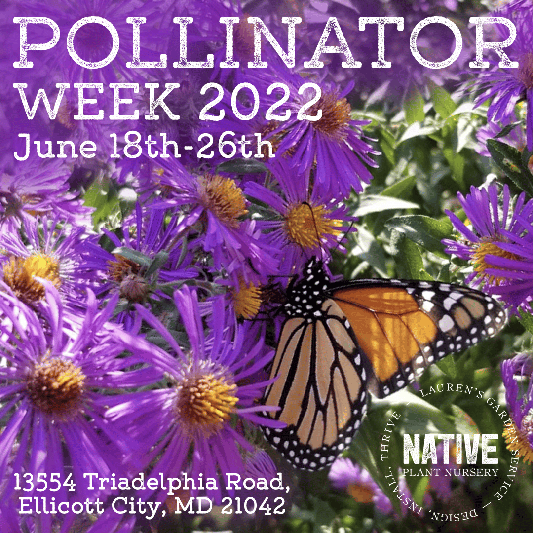 Pollinator Week 2022 Banner 1