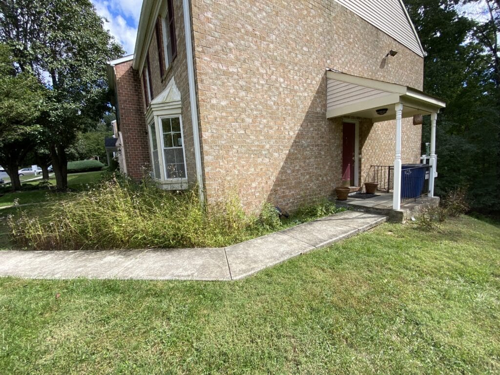 Townhouse Side Garden Before