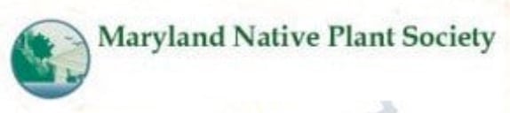 Maryland Native Plant Society