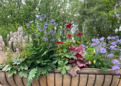 Planted Container for Railing Laurens Garden Service and Native Plant Nursery