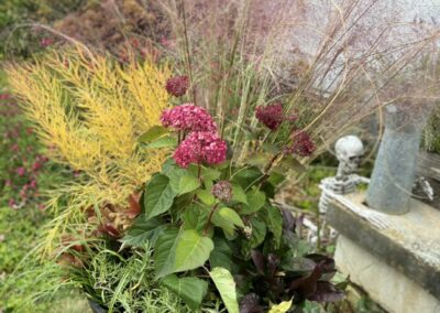 Porch Container Gardening Laurens Garden Service and Native Plant Nursery