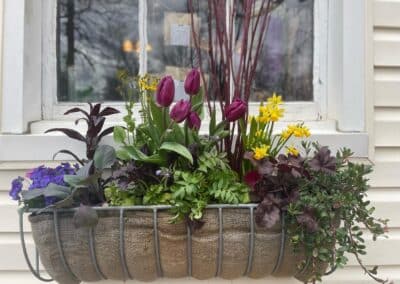 Window Sill Planted Cotnainer Laurens Garden Service and Native Plant Nursery