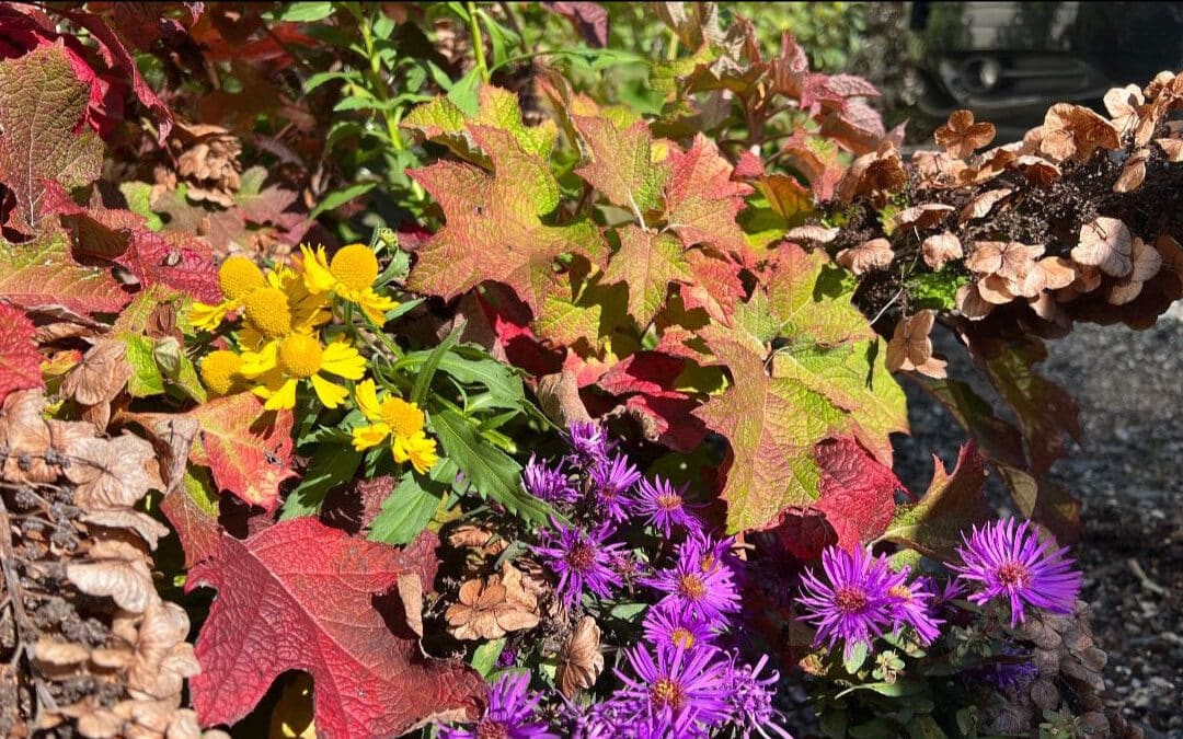 Fall 2023 LGS Newsletter