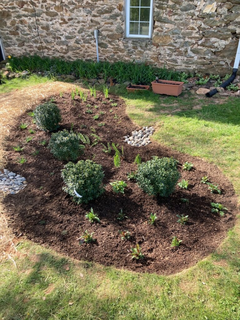 Rain Garden