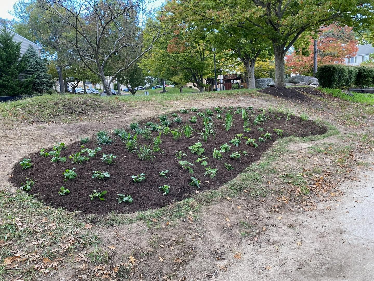 HOA Grant Conservation Landscape