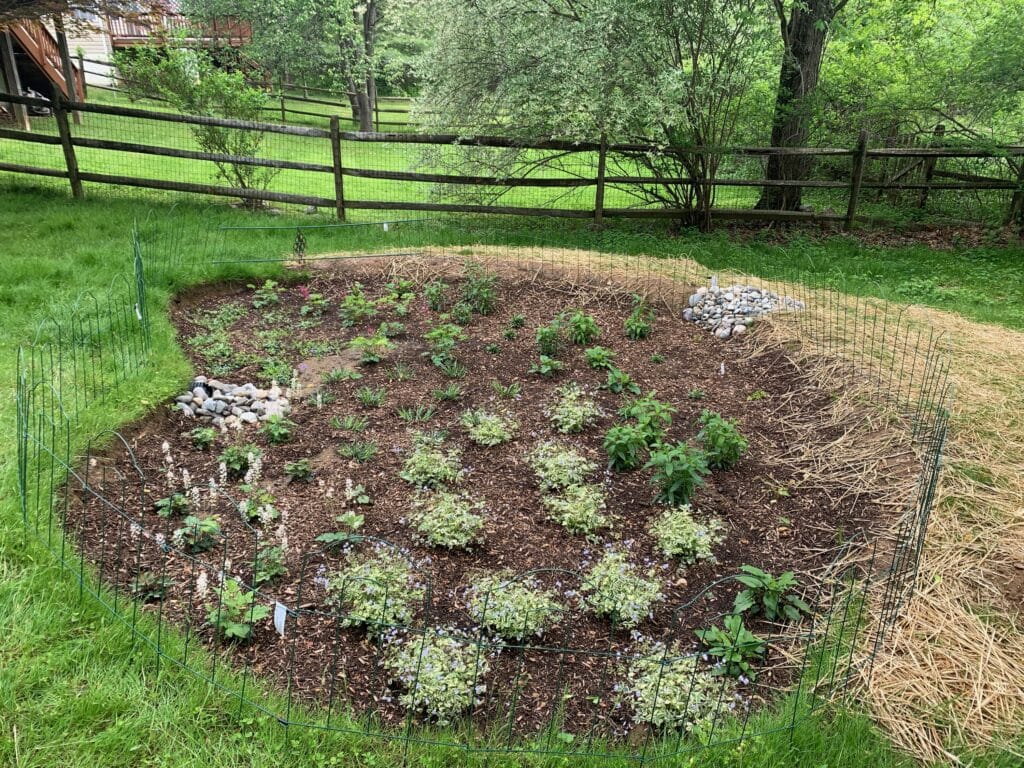 Part sun rain garden