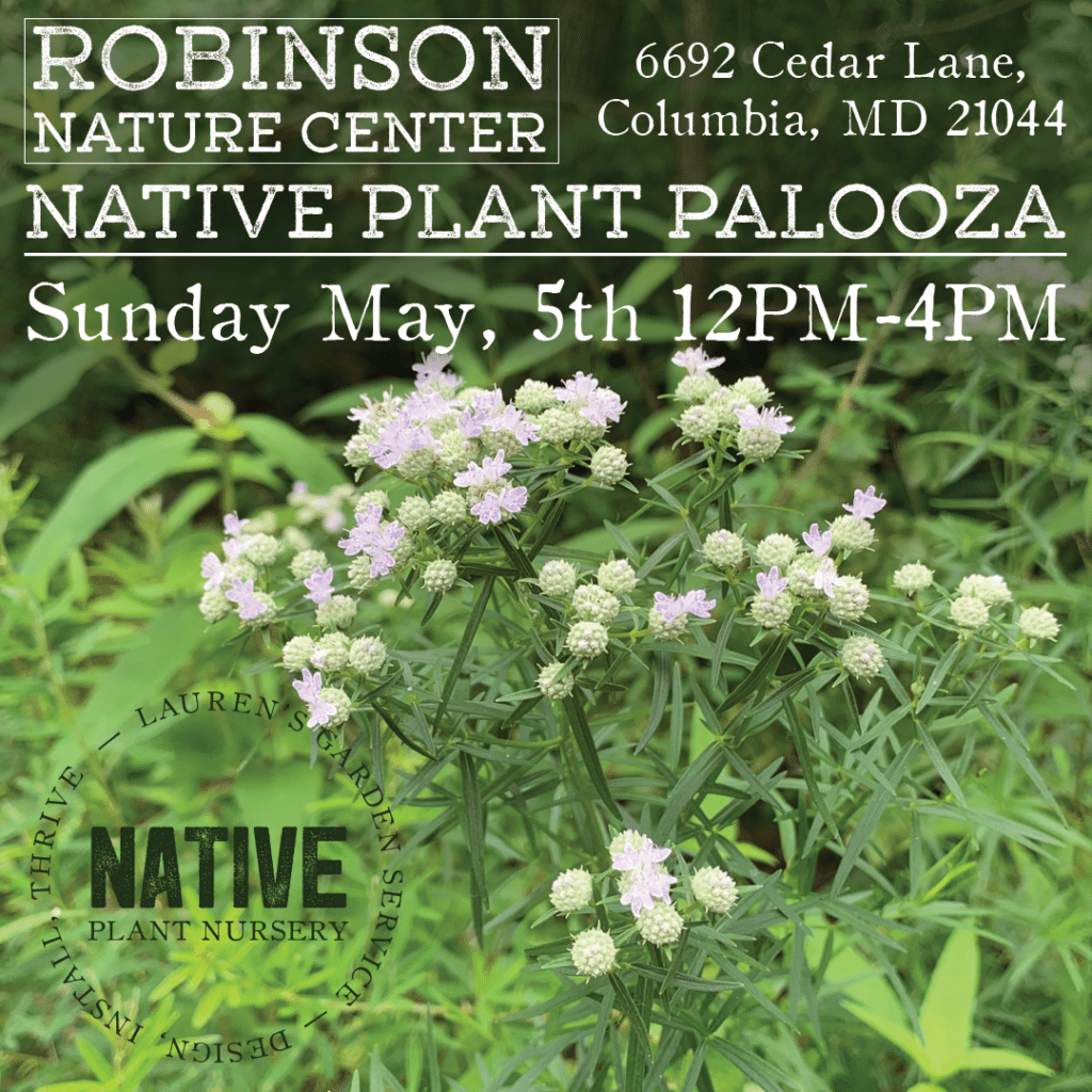 Robinson Nature Center Native Plant Palooza 2024