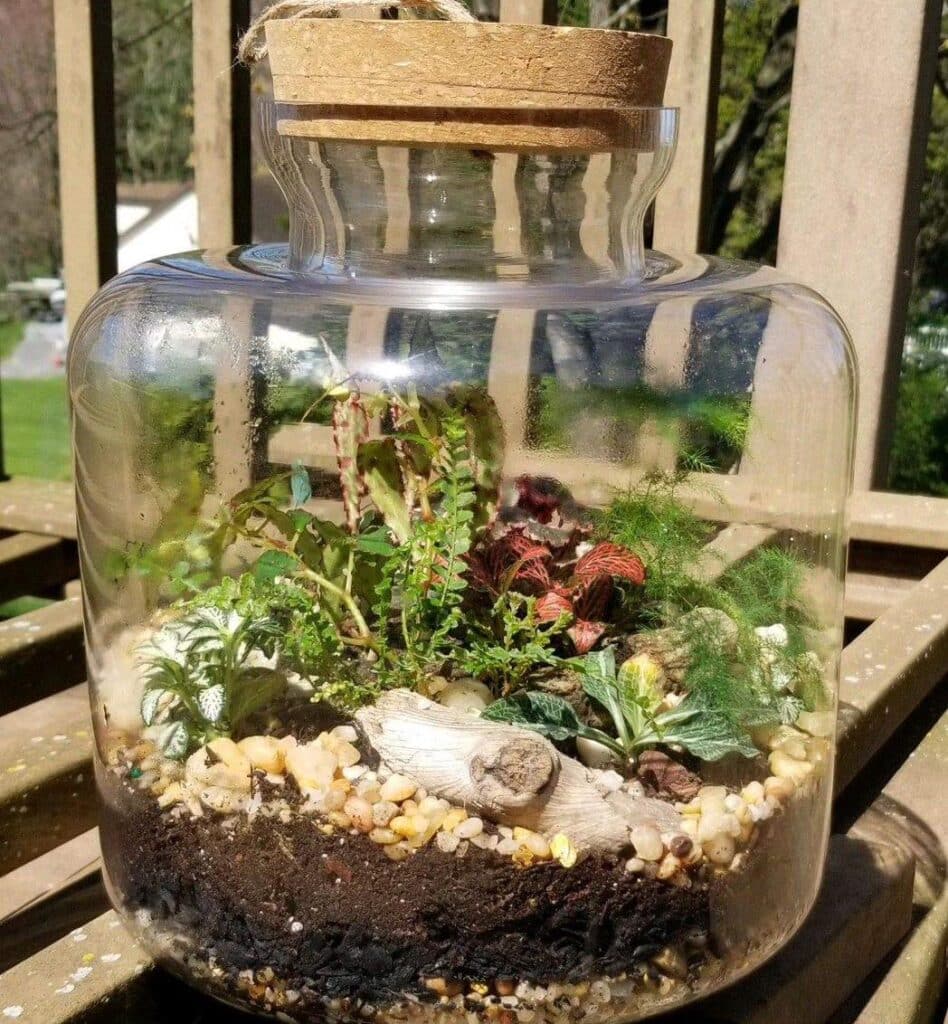 Terrarium