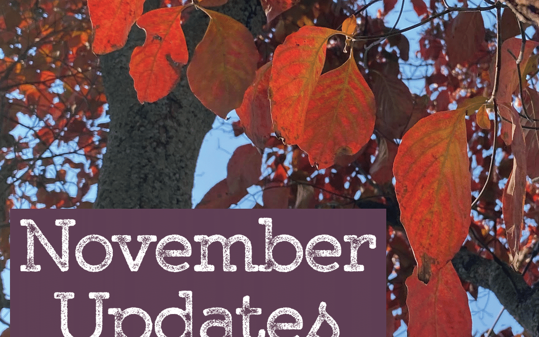 November 2024 at Lauren’s Garden Service