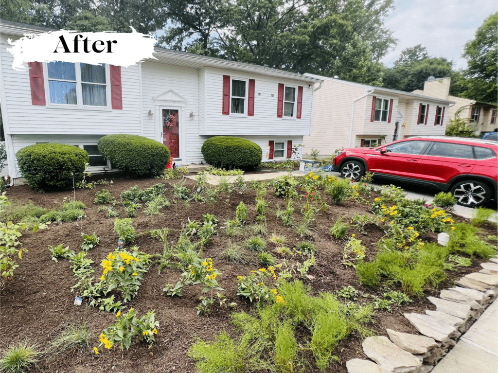Lawn Elimination Project in Laurel, MD