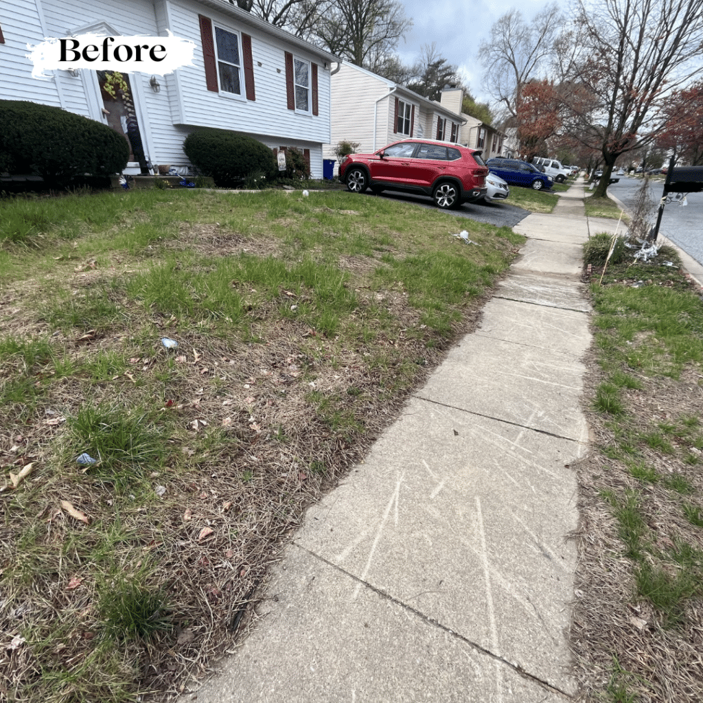 Before Lawn Elimination Project in Laurel, MD