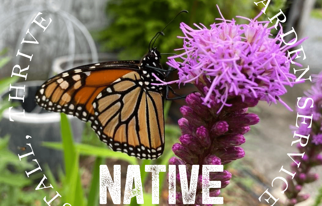 Spring 2025 in the Native Plant Nursery
