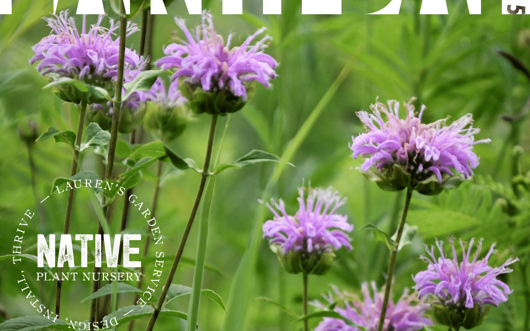 Lauren’s Garden Service Earth Day Celebration 2025