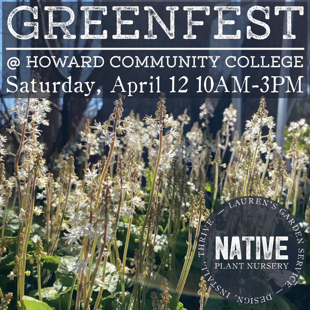 GreenFest