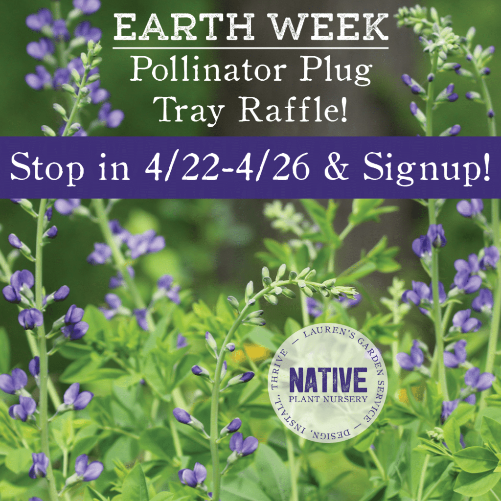 Pollinator Plug Tray Raffle Earth Day