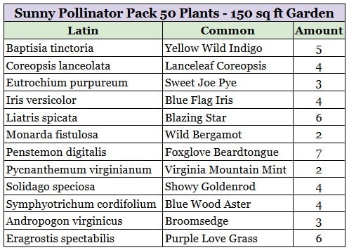 Lauren's Garden Service's Sunny Pollinator Plug Pack List