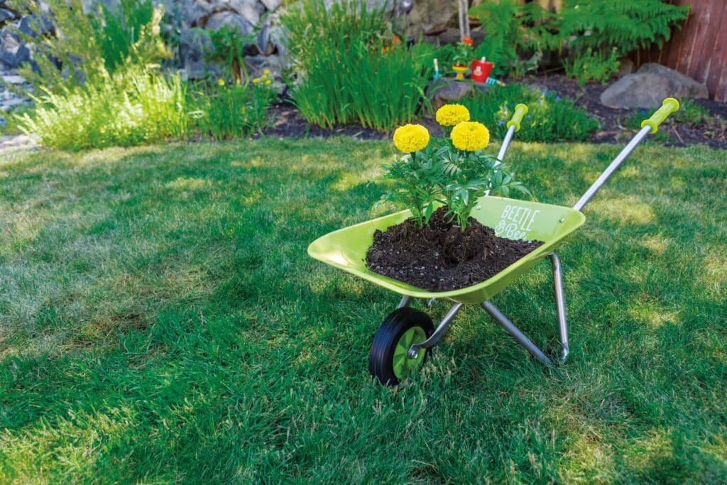 wheel barrow kids
