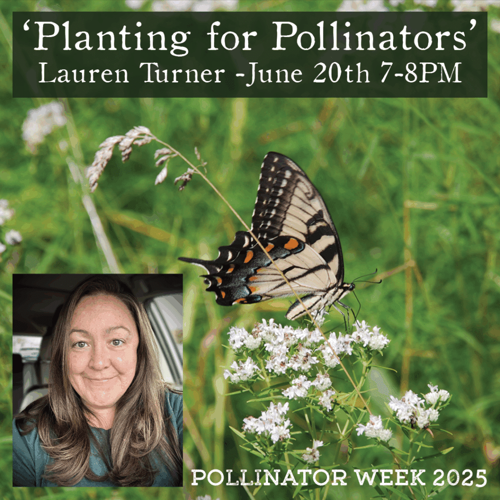 Boss Lady Planting for Pollinators Talk