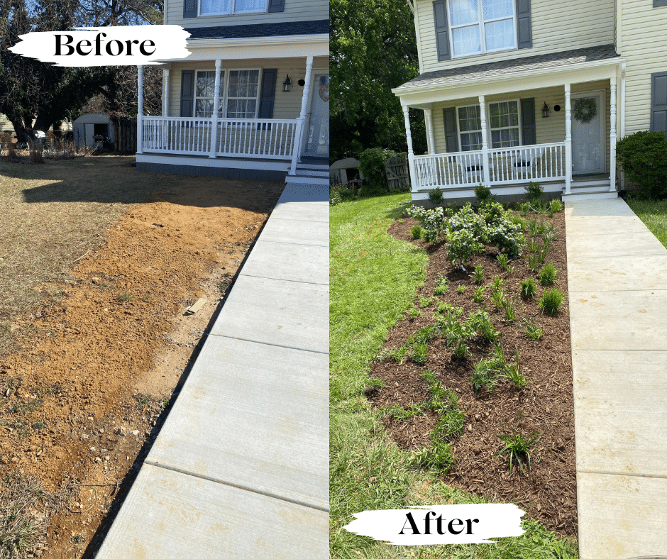 New Native Plant garden beds