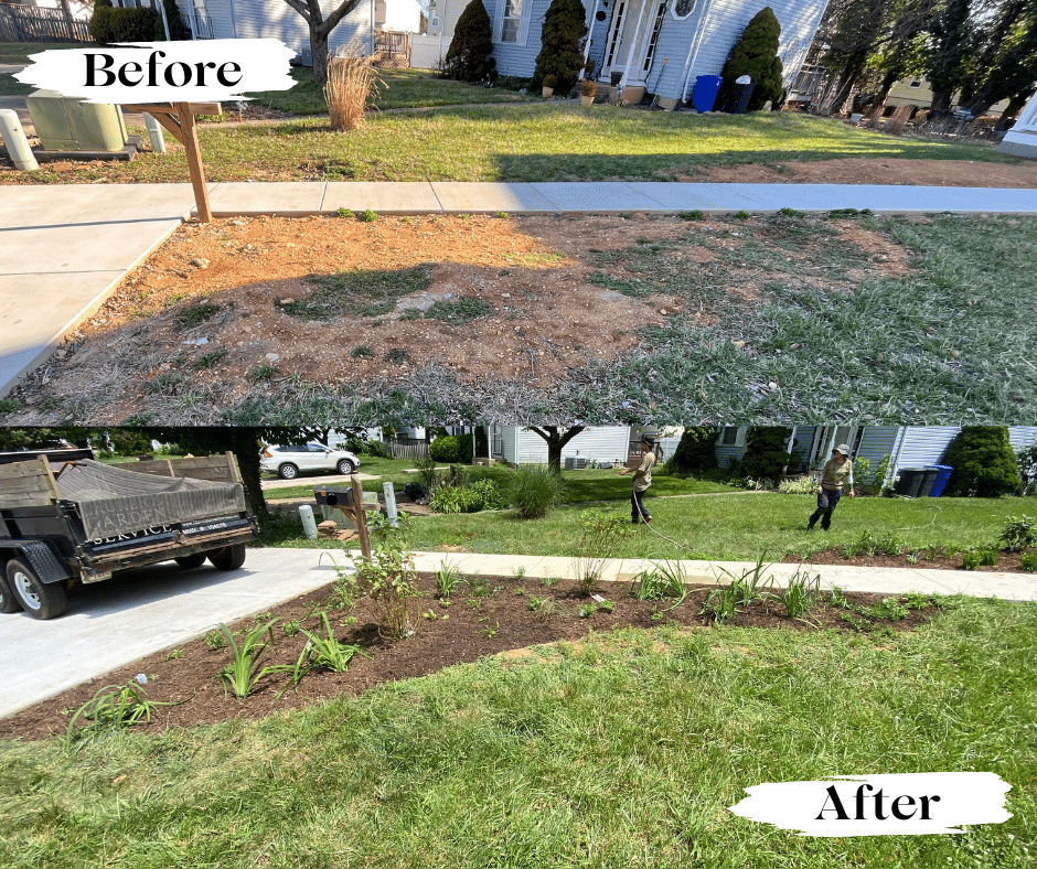 New Native Plant garden beds