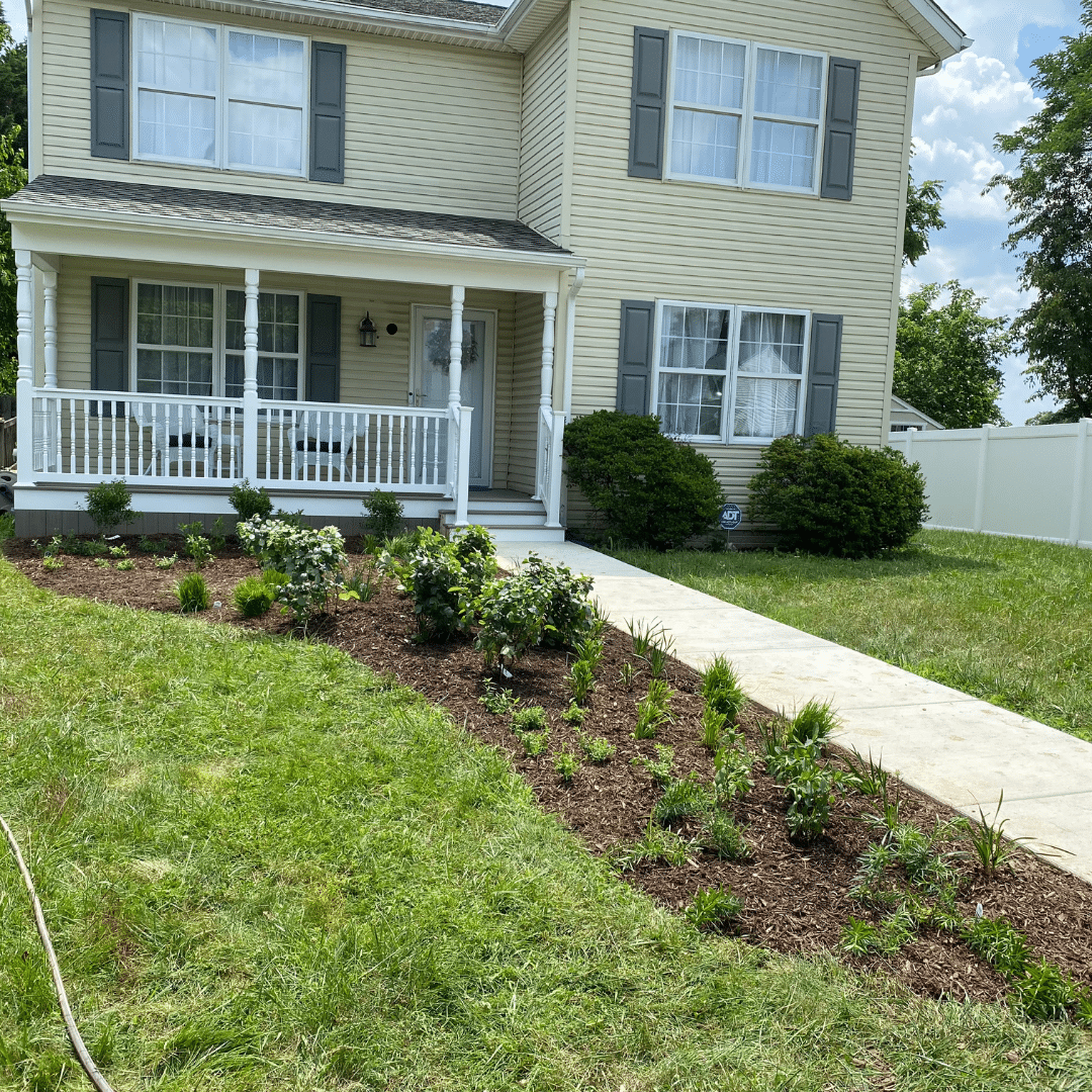 Native Plant install