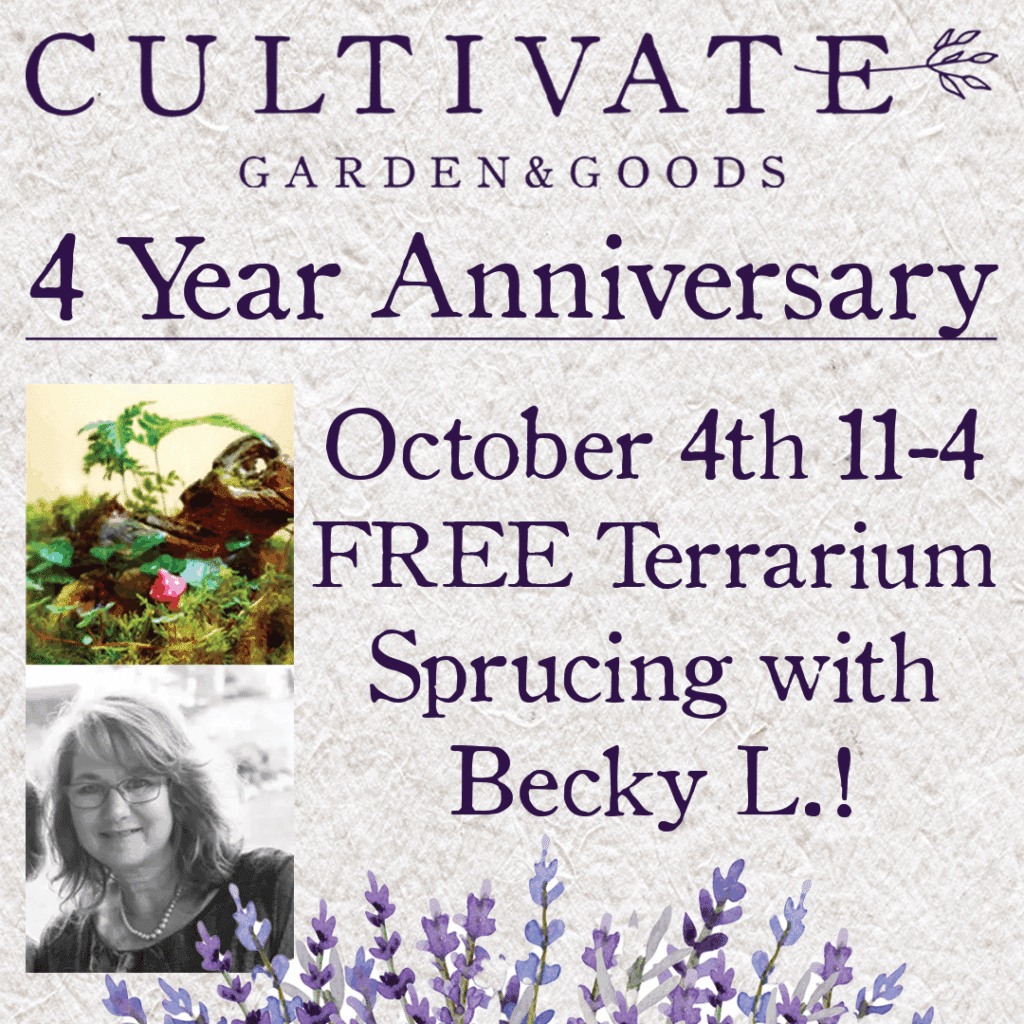 Becky L Terrarium Spiff