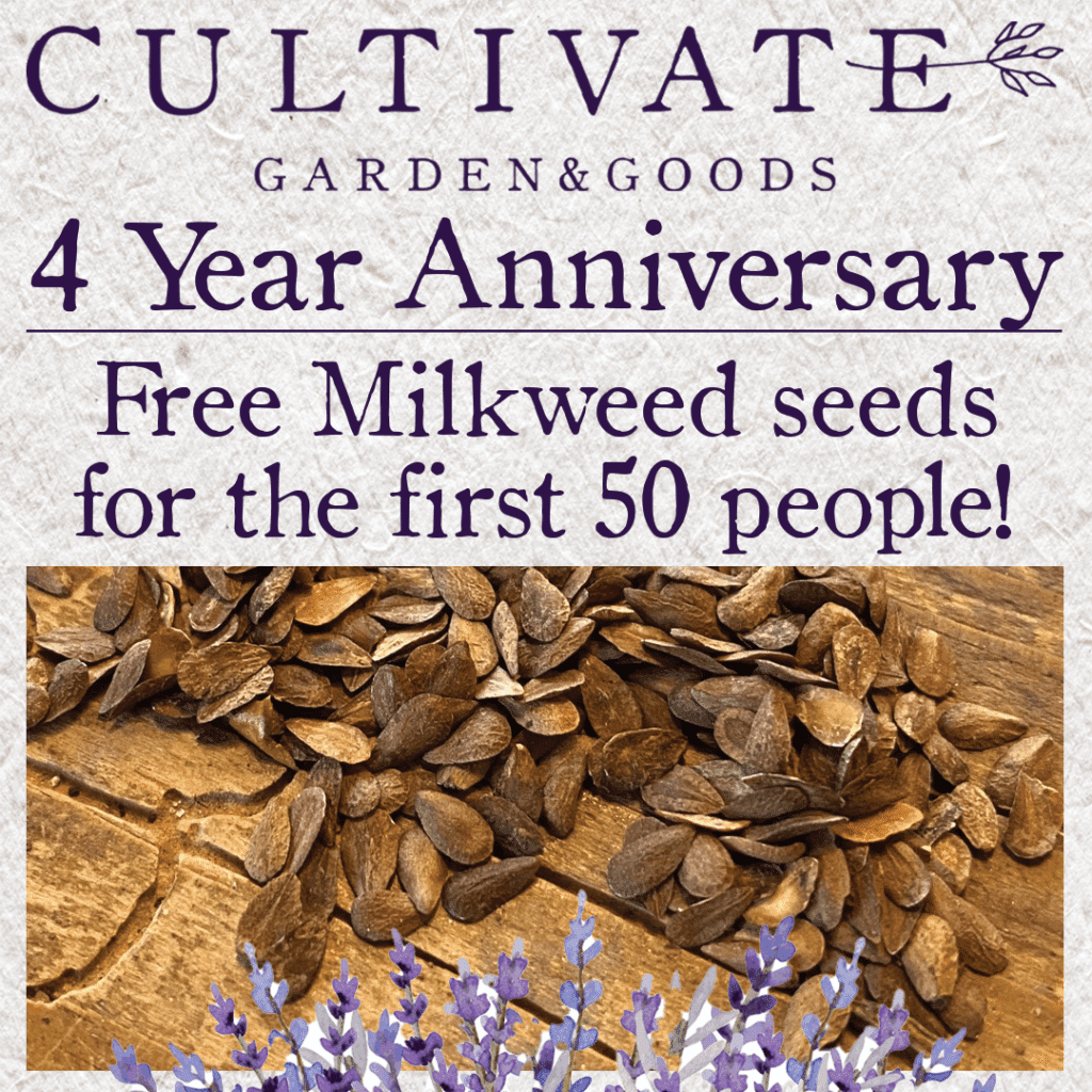 Milkweed seed giveaway cult 4 yr