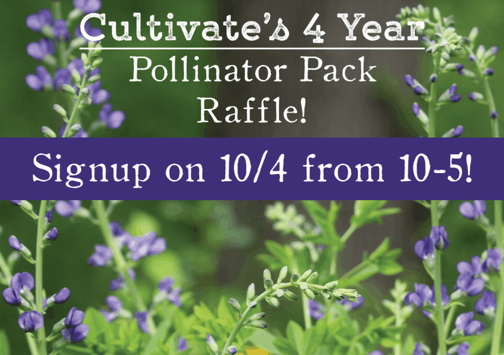 Pollinator Pack Raffle Oct 4