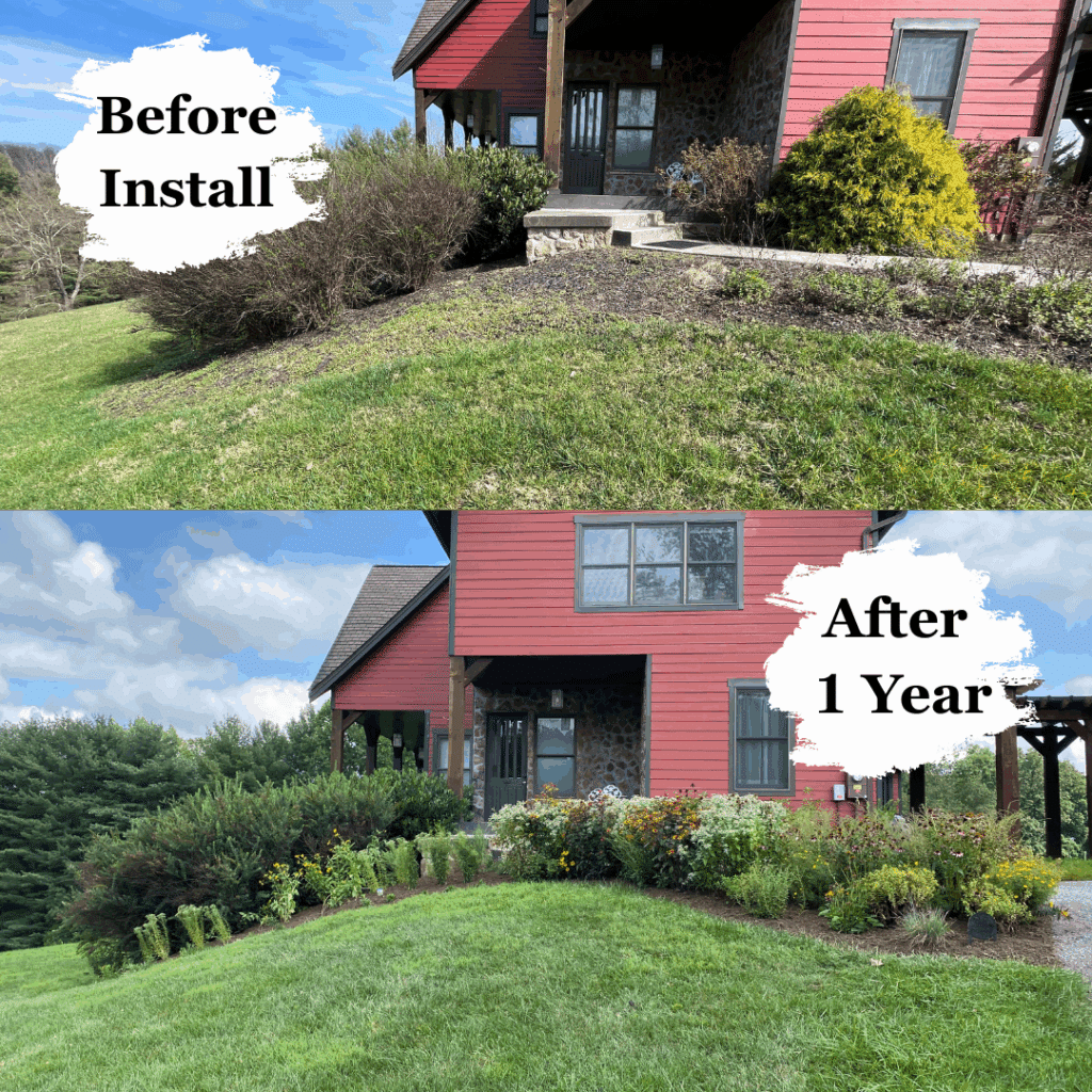 Native Pollinator Garden