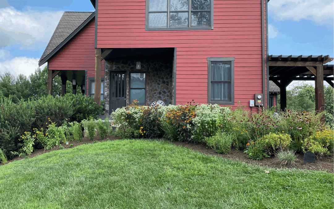A Native Pollinator Garden in New Windsor, MD