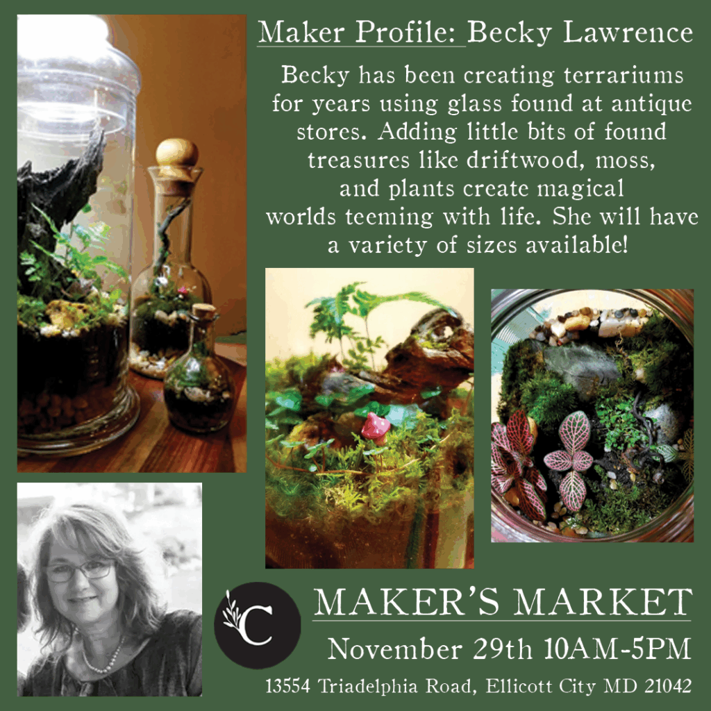 Becky Lawrence MM 25