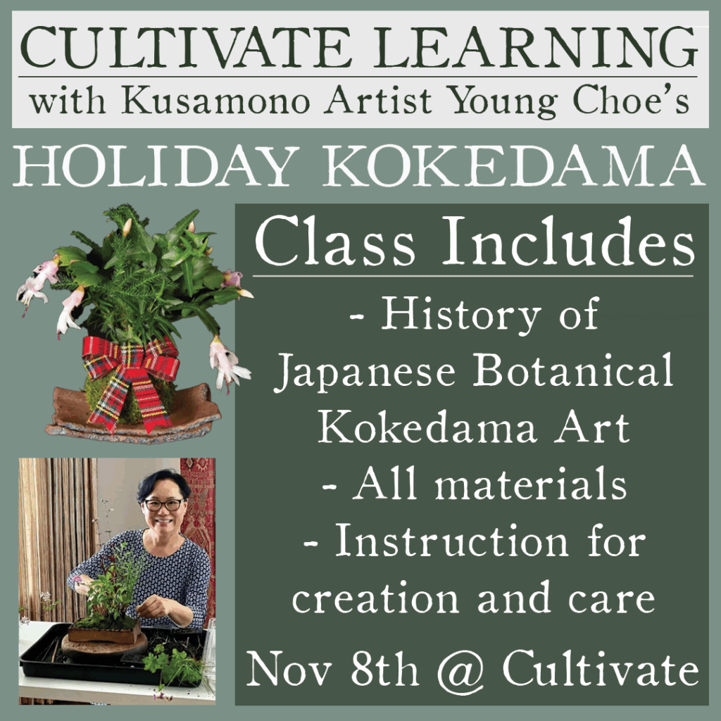 Young Choe Holiday Kokedama Class Holiday Kokedama Class