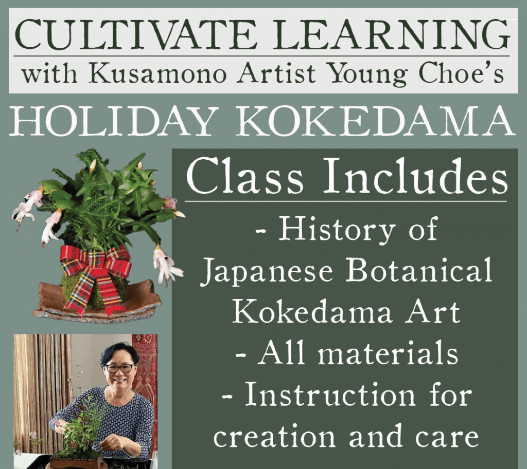 Holiday Kokedama Class
