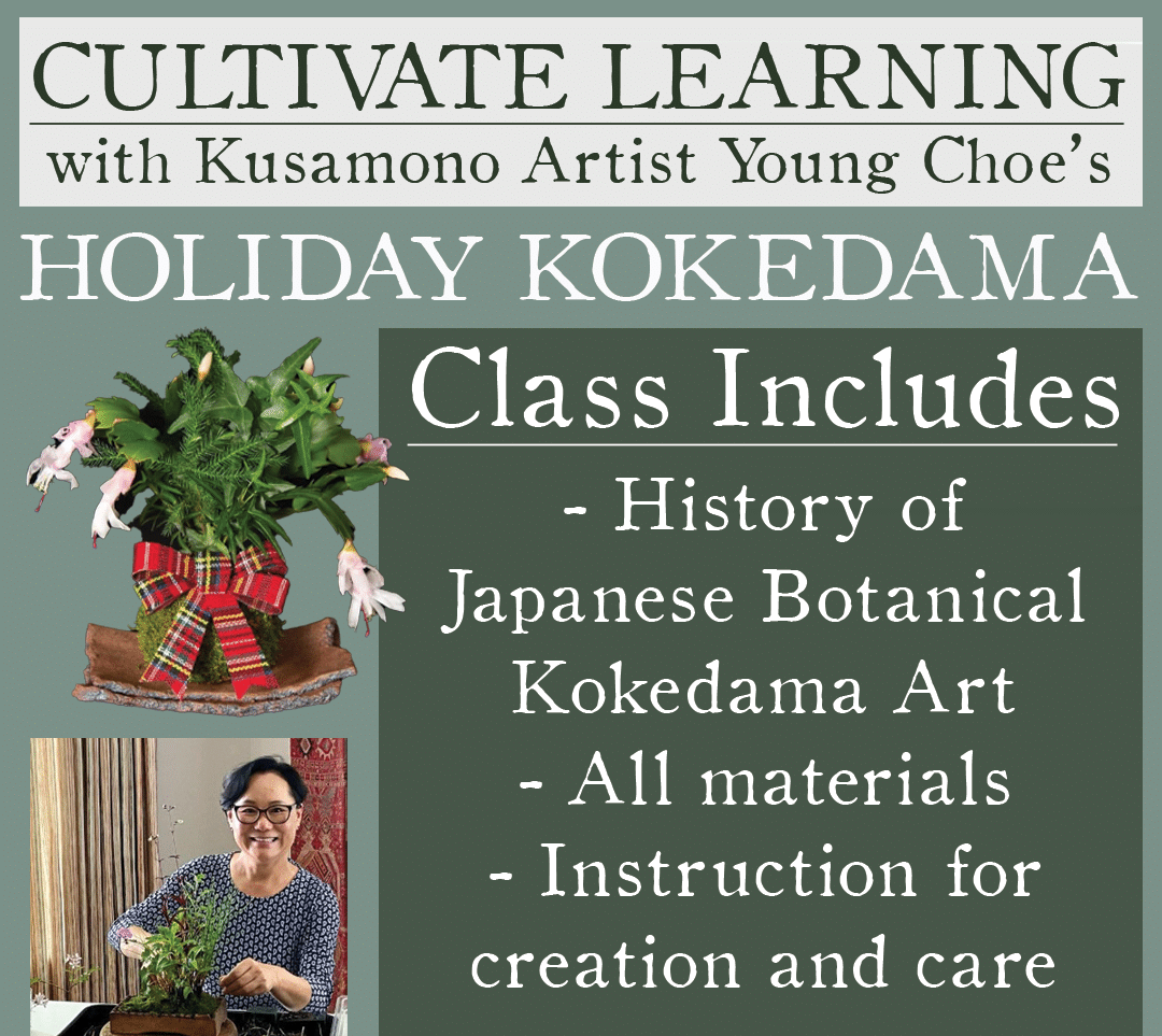 Holiday Kokedama Class
