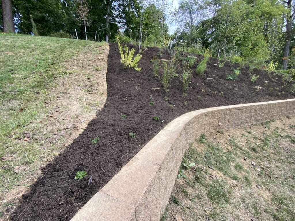 Finished bed alternate angle Slope garden bed after planting and mulching