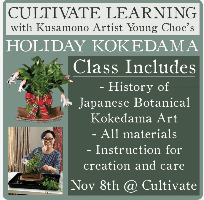 Holiday Kokedama Class